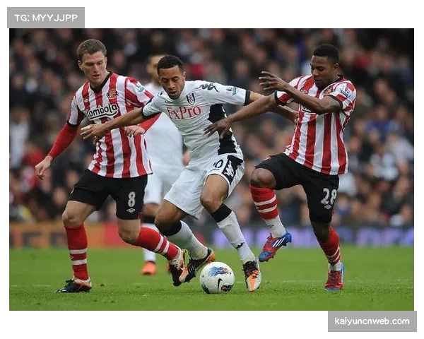 维拉主场对阵水晶宫，看台为离世的俱乐部传奇霍利尔默哀